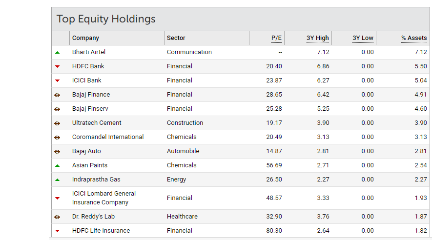 Top Equity Holding in DSP Asset allocation fund